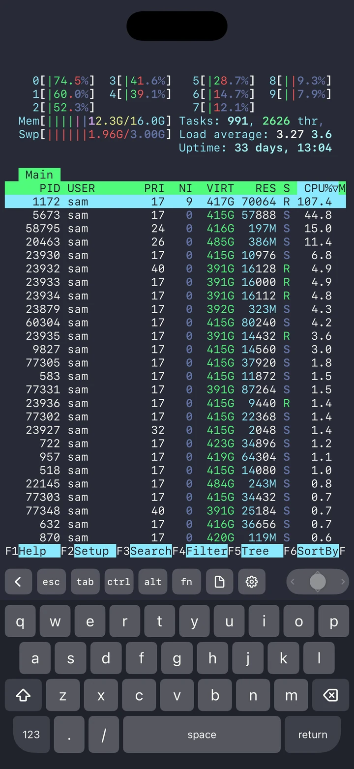 htop running in Clive